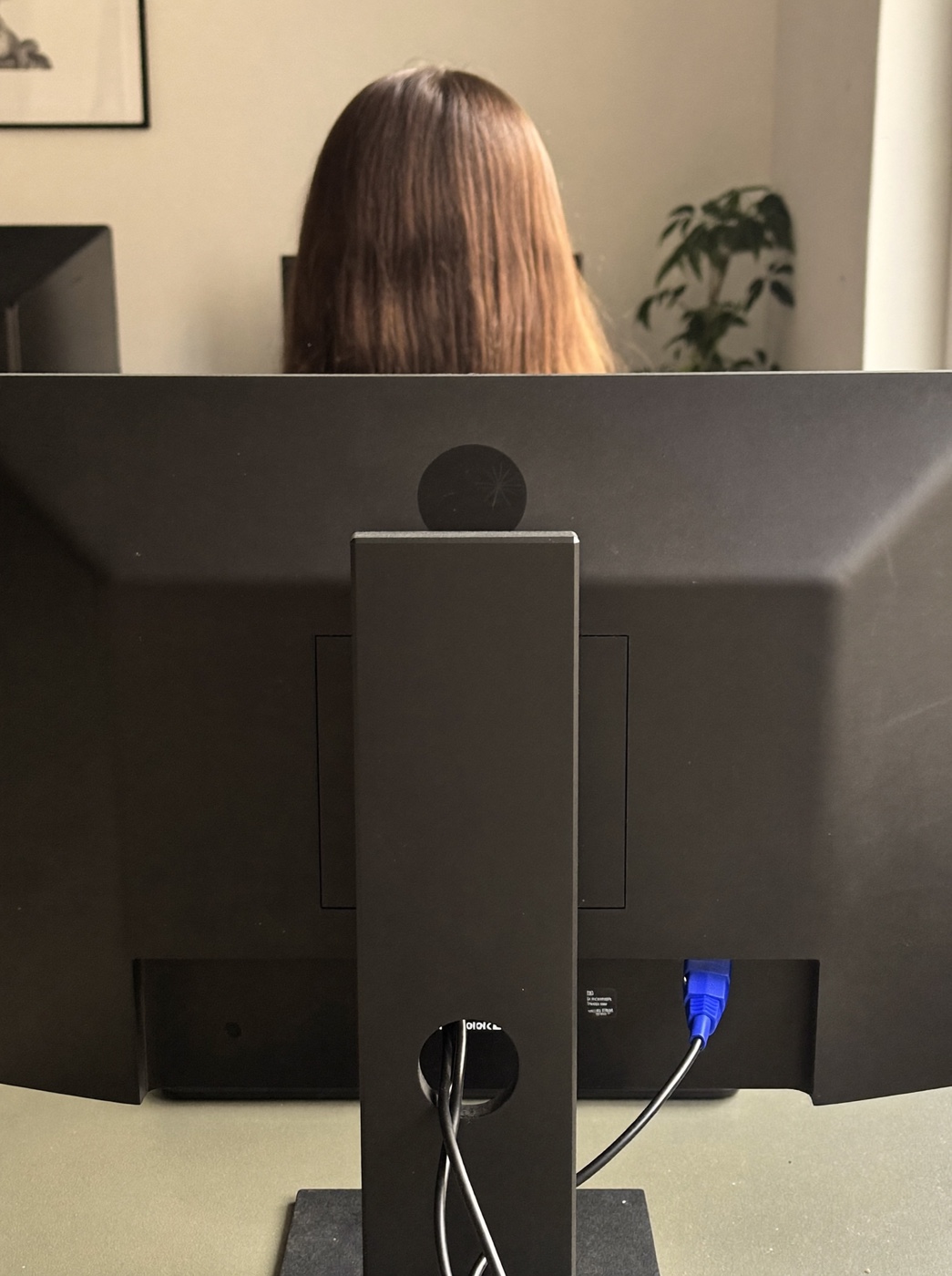 Pessoa vista de costas em frente a um computador, só a parte de trás do monitor visível, planta desfocada ao fundo